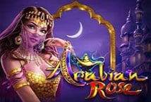 Arabian Rose