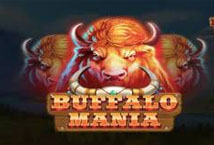 Buffalo Mania