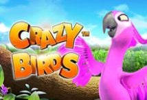 play crazy birds online free