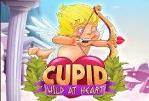 Wild Cupid