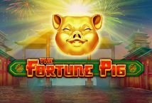 Pig Winner Slots