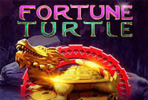 Fortune turtle