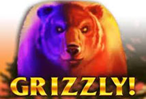 Grizzly Strike Slot - Play Online at King Casino