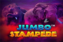 Jumbo Stampede