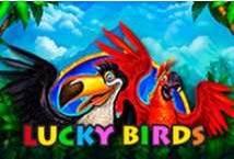 Lucky Birds