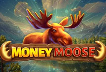 Moosey Money