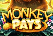 Monkey Pays