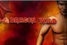 red dragon wild slot machine