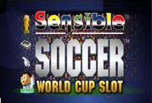 Sensible Soccer: Euro Cup