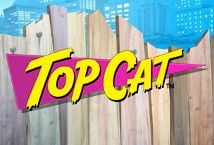 Cat Slot Free Play in Demo Mode - 2023