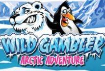 Wild Gambler - Arctic Adventures