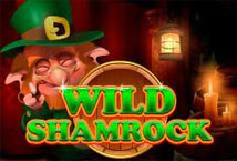 Wild Shamrock