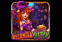 Wild Witches slot