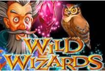 Crazy Wizard Slots, Real Money Slot Machine & Free Play Demo