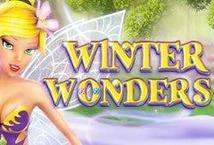 Winter Wonders