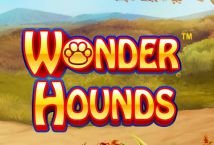 Cash hound slot machine