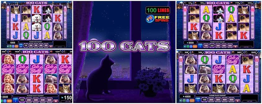 Free online cats slot games