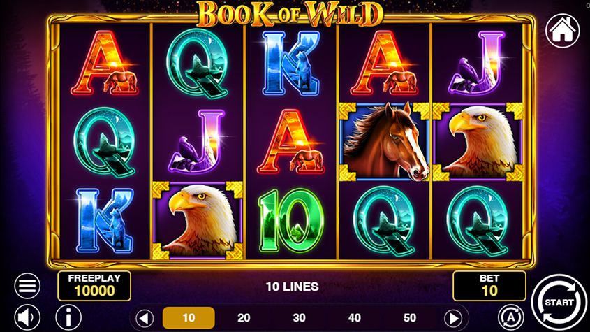 Book of Wild slot