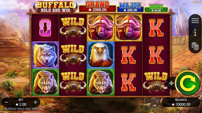 Buffalo Hold and Win Slot | Play Online | RTP: 95.90%