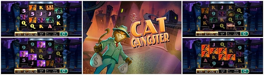 Cat Gangster slot