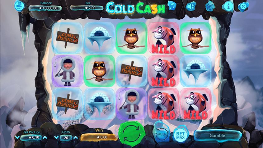 Cold Cash