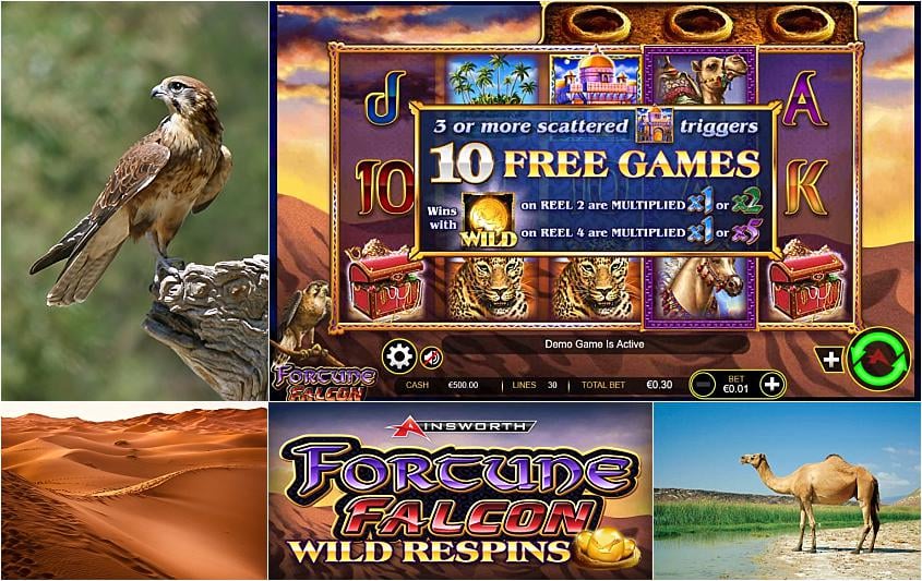 Fortune falcon wild respins