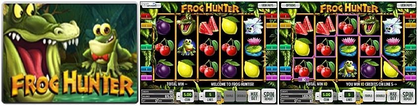 Frog Hunter