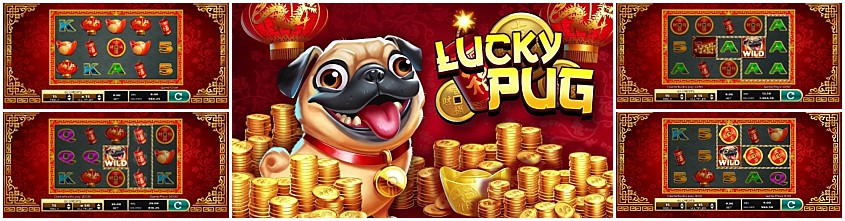 Lucky Pug