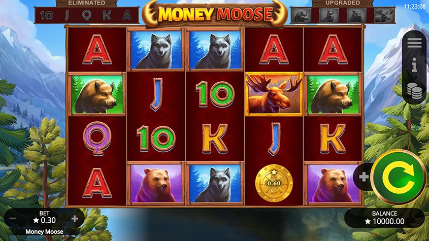 money moose slot