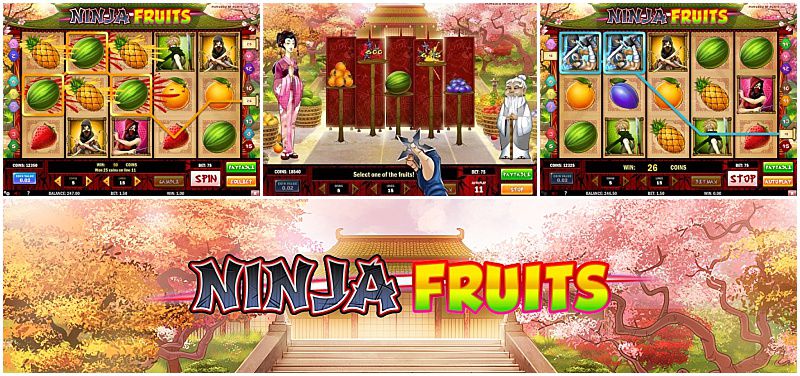 Ninja Fruits Slot 🐱‍👤, Free Play, Risk Game Feature