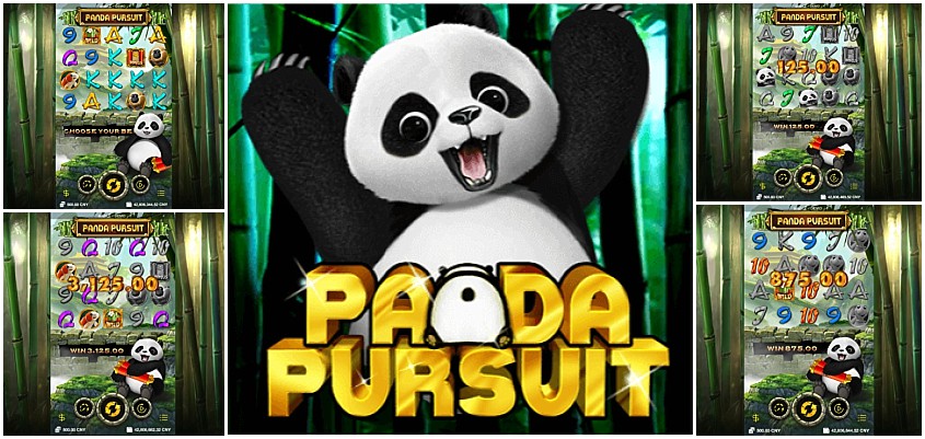 Panda Pursuit slot