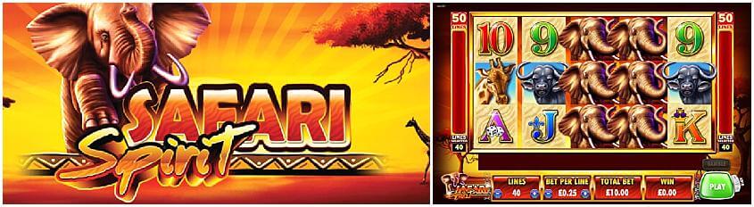 Safari Spirit slot