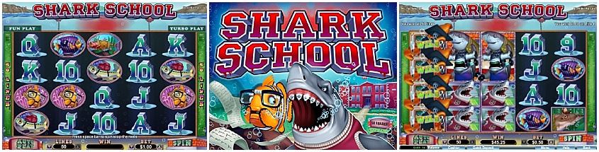 Shark School