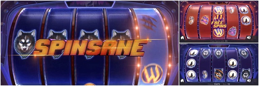 Spinsane slot review