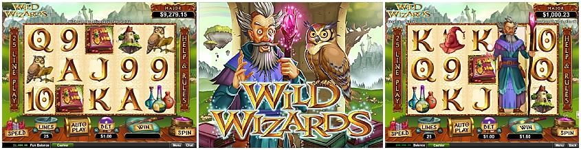 Wild Wizards